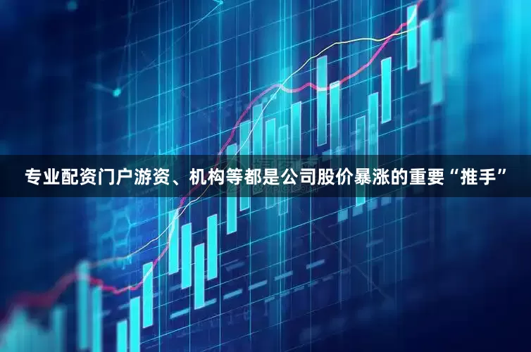 专业配资门户游资、机构等都是公司股价暴涨的重要“推手”
