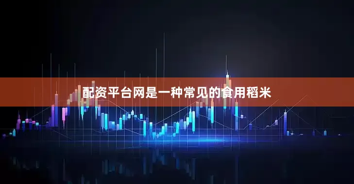 配资平台网是一种常见的食用稻米
