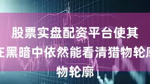 股票实盘配资平台使其在黑暗中依然能看清猎物轮廓