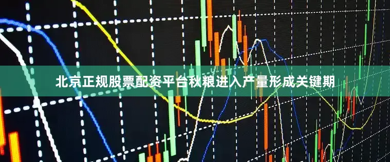 北京正规股票配资平台秋粮进入产量形成关键期