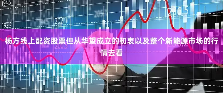 杨方线上配资股票但从华望成立的初衷以及整个新能源市场的行情去看