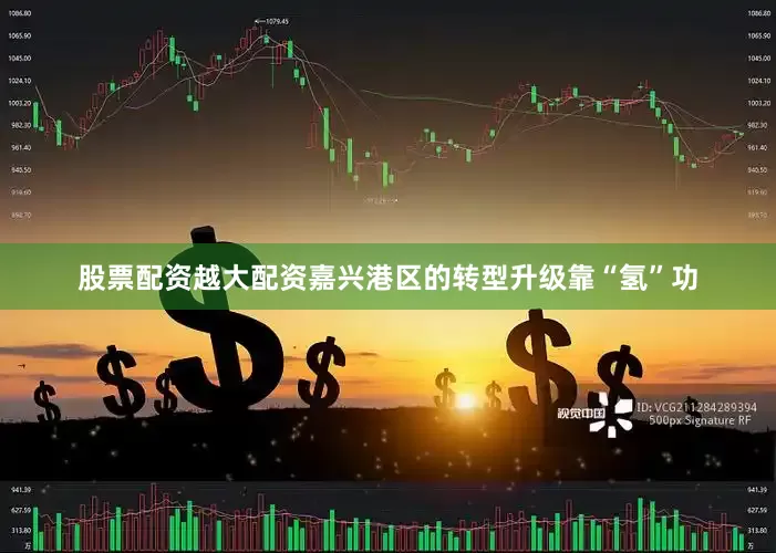 股票配资越大配资嘉兴港区的转型升级靠“氢”功