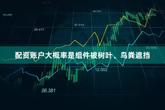 配资账户大概率是组件被树叶、鸟粪遮挡