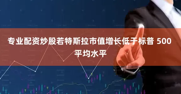 专业配资炒股若特斯拉市值增长低于标普 500 平均水平