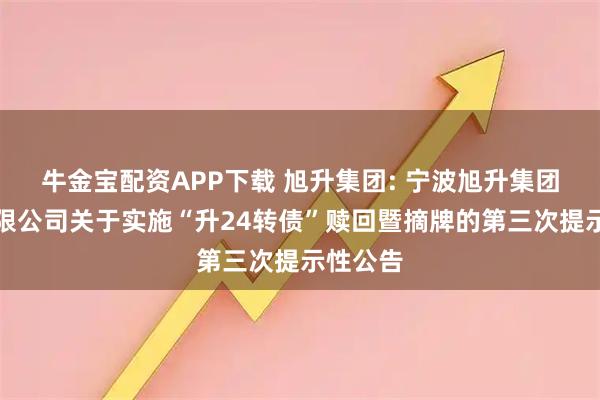 牛金宝配资APP下载 旭升集团: 宁波旭升集团股份有限公司关于实施“升24转债”赎回暨摘牌的第三次提示性公告